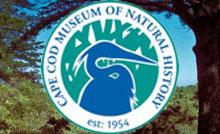 Cape Cod Museum of Natural History 
